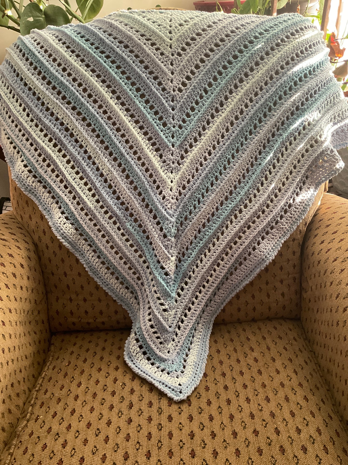 Shawl